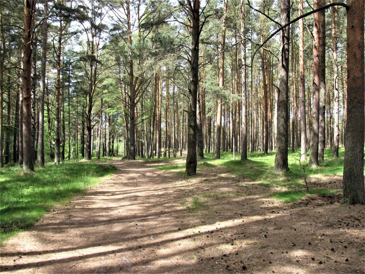 Biale * Lubiatowo (Pomerania)